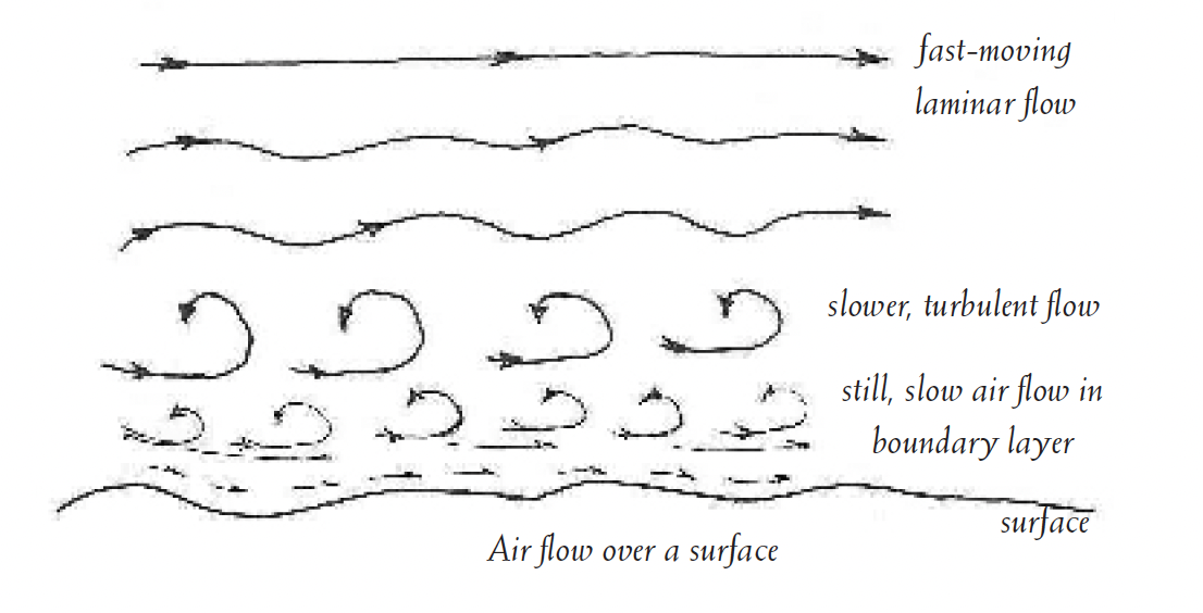 Pattern-of-air-flow-over-a-moss-carpet